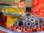 3er-Katzen-Kaskaden-Brunnen ohne Licht, gelb-orange-rot-blau, glänzend