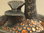 3er-Katzen-Kaskaden-Brunnen mit Licht, granitgrau, glänzend