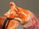 Kabelabdeckung "Maus" lila-rot-orange, glänzend